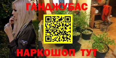 таблы Новозыбков