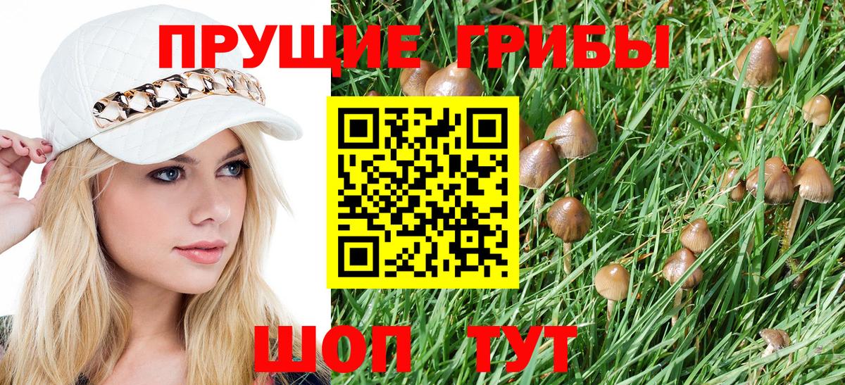 Спасск-Дальний  Псилоцибиновые грибы Psilocybine cubensis  Вход с VPN  Псилоцибиновые грибы мицелий 